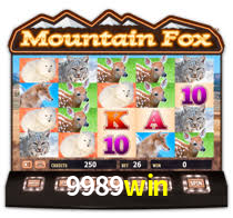 Programa VIP 9989win